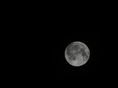 Enlarge photo 218