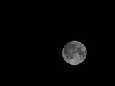Enlarge photo 217