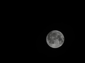 Enlarge photo 216