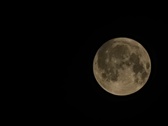 Enlarge photo 213