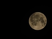 Enlarge photo 212