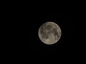 Enlarge photo 210