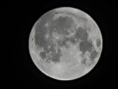 Enlarge photo 209