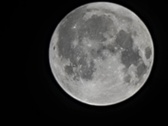 Enlarge photo 208