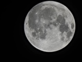 Enlarge photo 207