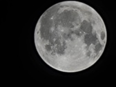 Enlarge photo 206