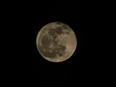 Enlarge photo 205