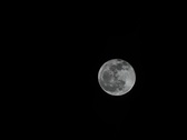 Enlarge photo 204