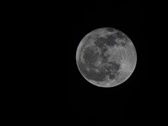 Enlarge photo 203