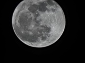 Enlarge photo 201