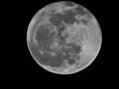 Enlarge photo 200