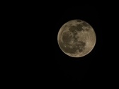 Enlarge photo 197