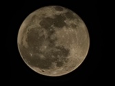 Enlarge photo 196