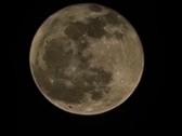 Enlarge photo 195