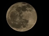 Enlarge photo 194