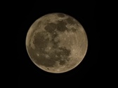 Enlarge photo 193