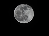 Enlarge photo 189