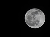 Enlarge photo 190
