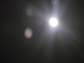 Enlarge photo 186