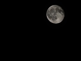 Enlarge photo 185