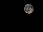 Enlarge photo 184