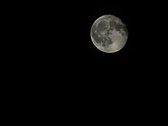 Enlarge photo 183