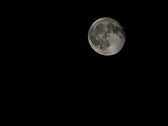 Enlarge photo 182
