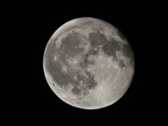 Enlarge photo 181
