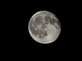 Enlarge photo 180
