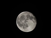 Enlarge photo 179