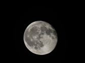 Enlarge photo 178