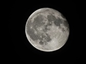 Enlarge photo 177
