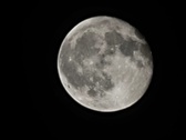 Enlarge photo 176