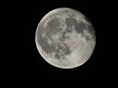 Enlarge photo 174