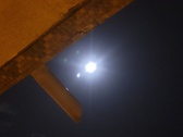 Enlarge photo 169