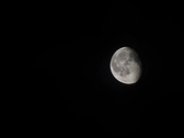 Enlarge photo 160