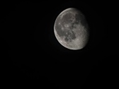 Enlarge photo 154