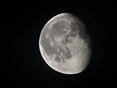 Enlarge photo 153