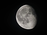 Enlarge photo 152