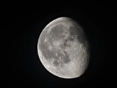 Enlarge photo 151