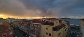 Enlarge photo 178