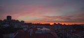 Enlarge photo 155