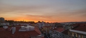 Enlarge photo 145