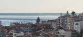 Enlarge photo 51