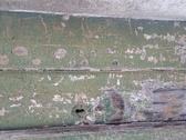 Enlarge photo 216