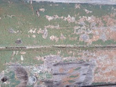 Enlarge photo 207