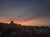 Enlarge photo 183