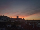 Enlarge photo 182