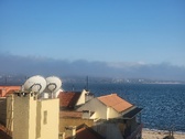 Enlarge photo 316
