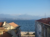Enlarge photo 315